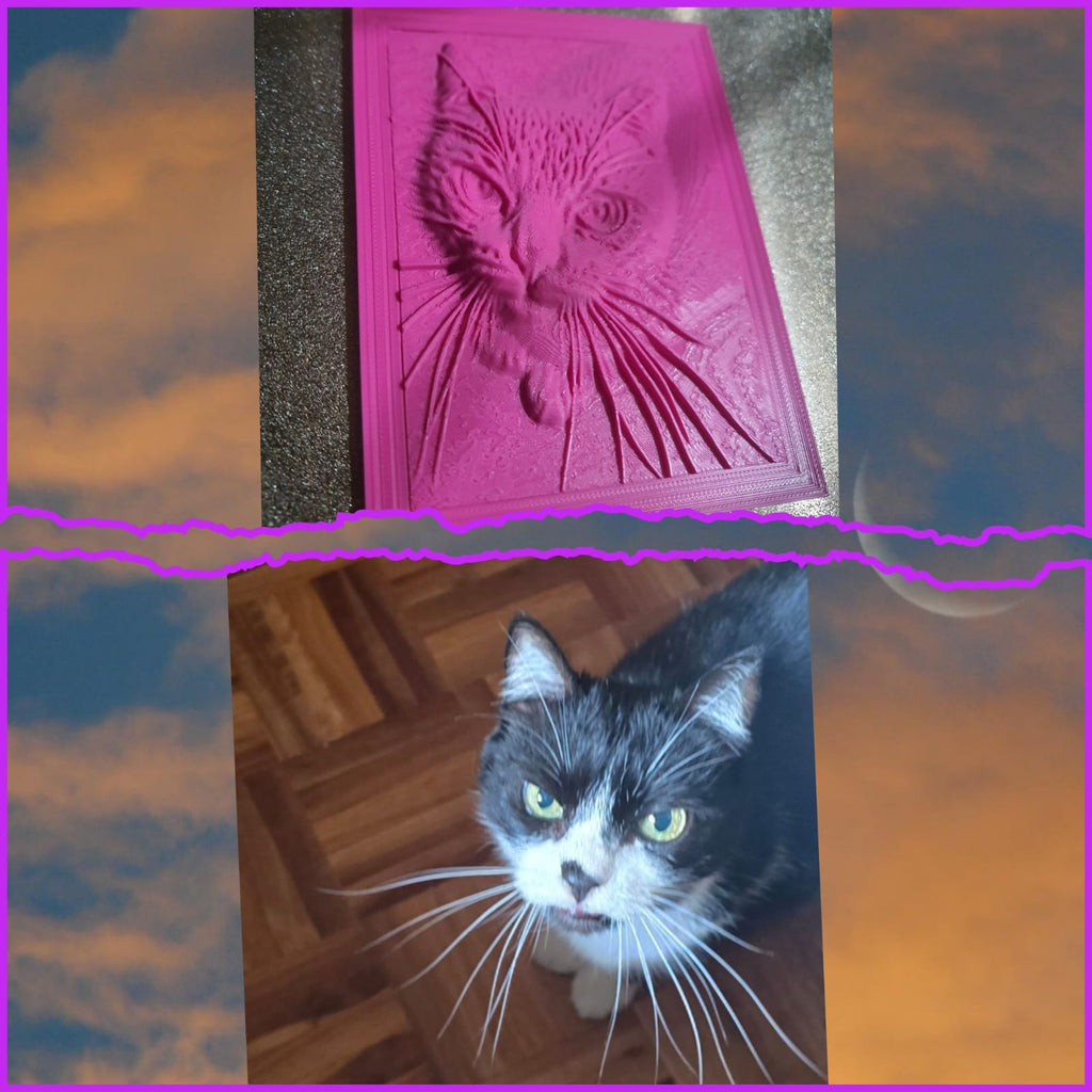 🖼️Regalo personalizado – Foto a cuadro 3D en relieve🎁