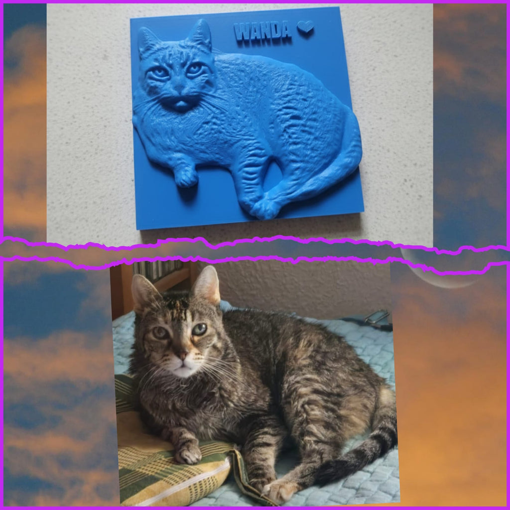 🖼️Regalo personalizado – Foto a cuadro 3D en relieve🎁